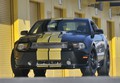 Shelby GT 50th Anniversary Edition: Jubilejna serija ob 50. obletnici znamke Shelby