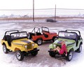 Jeep Renegade II (1971)