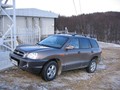 domača predstavitev: Hyundai santa fe in terracan