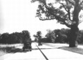 Zanimivosti: Nemški  Autobahn  praznuje 70 let