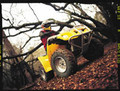 domača predstavitev: Bombardier ATV