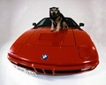 BMW M1 (E26): 30th Anniversary