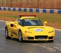 Lobini H1: Brazilski  elise 