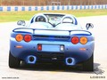 Lobini H1: Brazilski  elise 