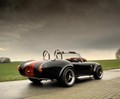 Weineck cobra 780 cui limited edition: Kraljevska kobra