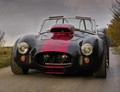 Weineck cobra 780 cui limited edition: Kraljevska kobra