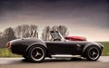 Weineck cobra 780 cui limited edition: Kraljevska kobra