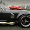 Weineck cobra 780 cui limited edition: Kraljevska kobra