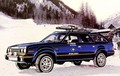 AMC Eagle