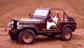 Jeep CJ-7 Golden Eagle (1978)
