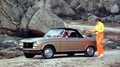 304 Cabriolet