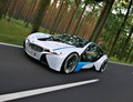  BMW Vision EfficientDynamics <em>[Avtor: BMW]</em>