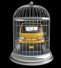 Free The Qute