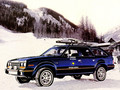 AMC Eagle Wagon
