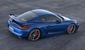 Porsche cayman GT4 clubsport: Vstopnica v svet avtomobilskega športa