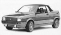 SEAT Ibiza Cabriolet by ACS