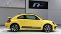 Volkswagen beetle GSR: Novi „Gelb-Schwarzer Renner“