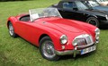 »IZBOR SLOVENIJE - Concours d`Elegance 2014«: Na Bledu zbrani najlepši slovenski starodobniki