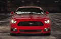 Ford Mustang: Že 2200 naročil za najhitrejšega Forda v Evropi