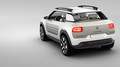 Citroën Cactus : Nova delitev!