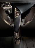DIVINE DS: ESENCA ZNAMKE DS
