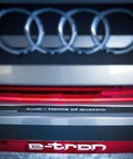 Audi e-tron extreme: Tehnološki prototip na legendarnem Streifu