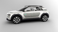 Citroën Cactus : Nova delitev!