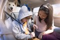 NOVI CITROËN C4 PICASSO IN NOVI GRAND C4 PICASSO: NOVO VABILO NA POTOVANJE