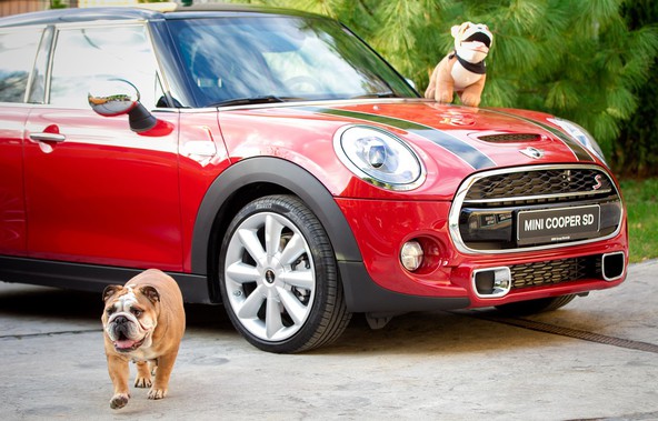 MINI & buldog Spike: Nenavadna čajanka v okolju vrta rezidence Britanske ambasade v Ljubljani