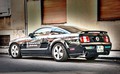 WIZ, zavarovanje na dotik: #avtoWIZ Mustang obnorel Slovenijo