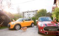 MINI & buldog Spike: Nenavadna čajanka v okolju vrta rezidence Britanske ambasade v Ljubljani