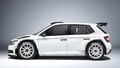 Škoda Fabia R 5