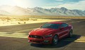 Ford Mustang: Že 2200 naročil za najhitrejšega Forda v Evropi