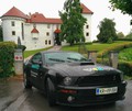 WIZ, zavarovanje na dotik: #avtoWIZ Mustang obnorel Slovenijo