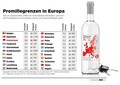 Veseli december je med nami: Na to, kakšna bo prometna statistika v decembru 2015, lahko vplivamo tudi mi!