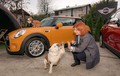 MINI & buldog Spike: Nenavadna čajanka v okolju vrta rezidence Britanske ambasade v Ljubljani