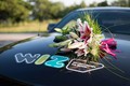 WIZ, zavarovanje na dotik: #avtoWIZ Mustang obnorel Slovenijo
