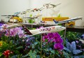 Sejem transport logistic 2017: SPIRIT Slovenija s 15 podjetji prvič na sejmu v Münchnu