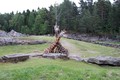 Djurpark Boras na Švedskem: Prva Afriška savana v Evropi, kjer sobivajo različne rastlinojede živali skupaj.