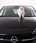 Projekt Opel – Choupette Lagerfeld: Opel Corsa in Choupette pozirali Karlu Lagerfeldu