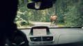 Opel OnStar: Pet oglasnih filmov za OnStar kampanjo so snemali letos poleti v Sloveniji