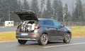 »Varen prevoz psov«: Opel podprl projekt AMZS in Motorevije