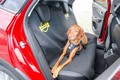 »Varen prevoz psov«: Opel podprl projekt AMZS in Motorevije