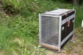 Djurpark Boras na Švedskem: Transportni boks za geparde.