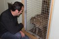Djurpark Boras na Švedskem: Naš veterinar Marjan Kastelic ob pol leta starih mladičih geparda.