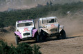2 CV Cross 1977