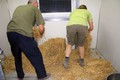 ZOO Ljubljana: Novi notranji prostor za geparda.