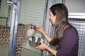 ZOO Ljubljana: Hrano je sprejel tudi Sven, ki je bolj plašen od Svee.