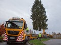 MAN TGS, ekipa podjetja Dvig in sodelavci Javne razsvetljave: Iz zakulisja: ko prevoz postane poslanstvo