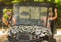 Z ZEBRO ČRTICO VARNO ČEZ »ZEBRO«: Odvitaj v ZOO z NLB Vito, zebra praznuje!